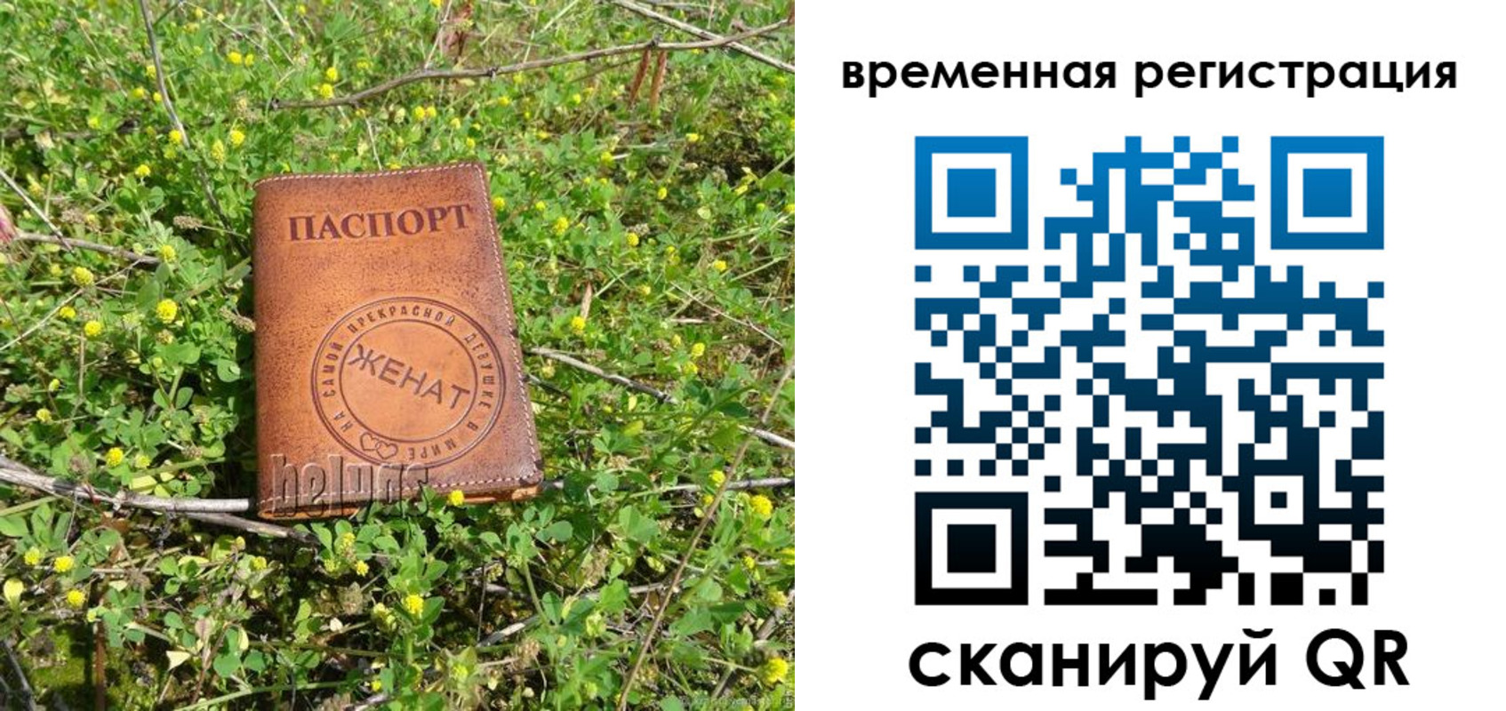 прописка регистрация в Семикаракорске